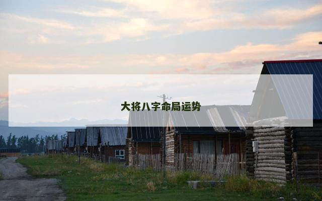 大将八字命局运势
