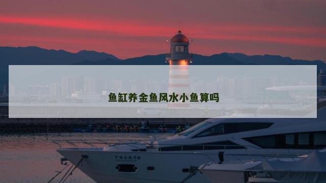 鱼缸养金鱼风水小鱼算吗