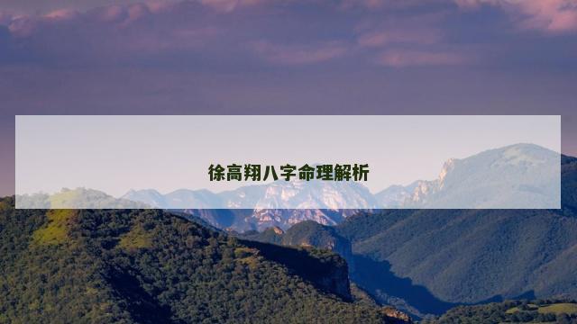 徐高翔八字命理解析