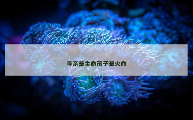 母亲是金命孩子是火命