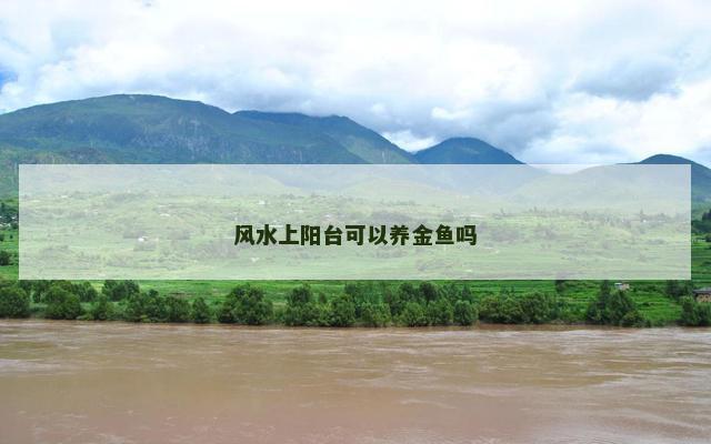 风水上阳台可以养金鱼吗