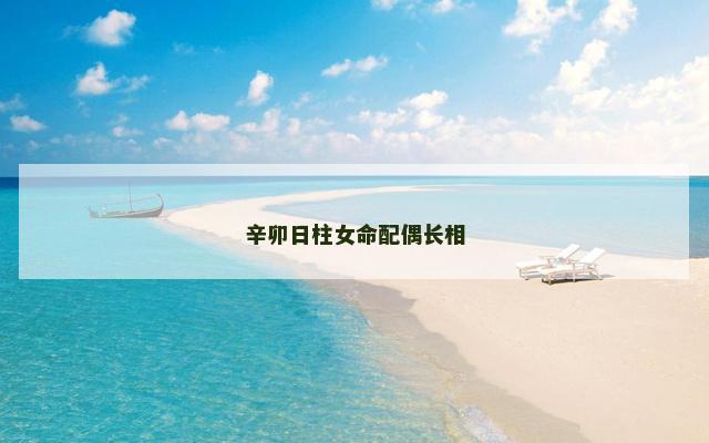 辛卯日柱女命配偶长相