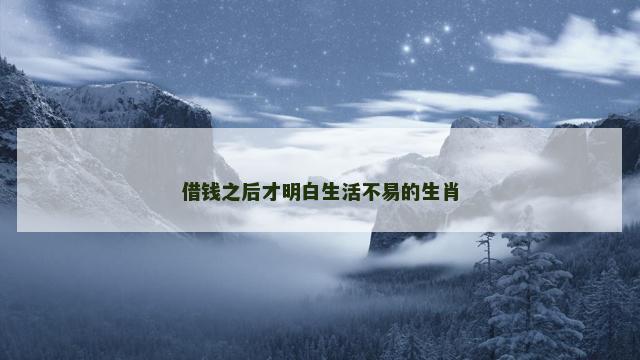 借钱之后才明白生活不易的生肖