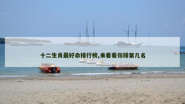 十二生肖最好命排行榜,来看看你排第几名