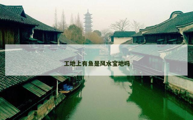 工地上有鱼是风水宝地吗