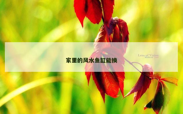 家里的风水鱼缸能换