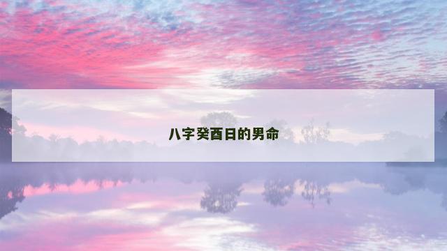 八字癸酉日的男命