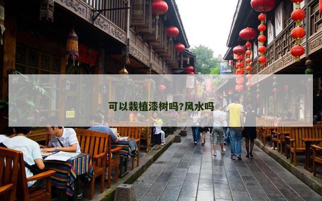 可以栽植漆树吗?风水吗