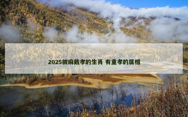 2025披麻戴孝的生肖 有重孝的属相