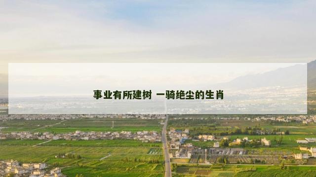 事业有所建树 一骑绝尘的生肖