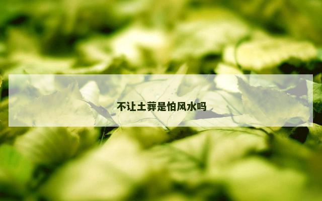 不让土葬是怕风水吗