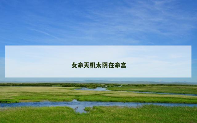女命天机太阴在命宫
