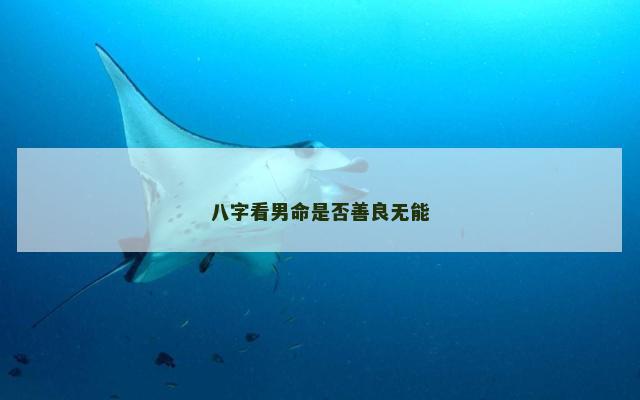 八字看男命是否善良无能