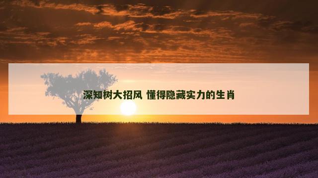深知树大招风 懂得隐藏实力的生肖