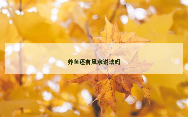 养鱼还有风水说法吗