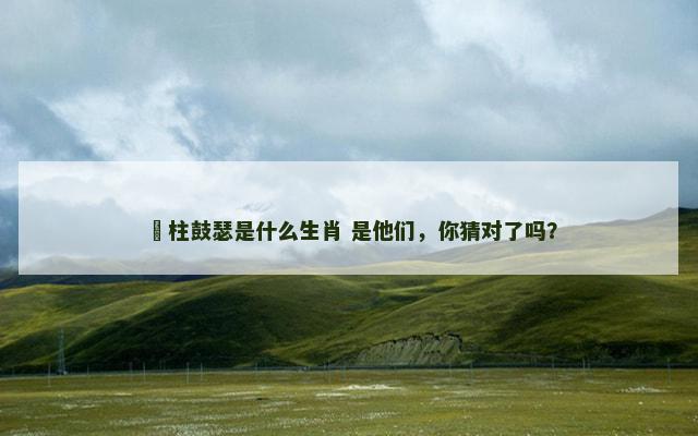 膠柱鼓瑟是什么生肖 是他们，你猜对了吗？