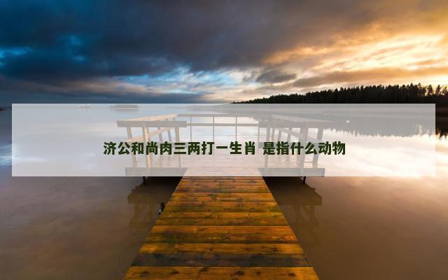 济公和尚肉三两打一生肖 是指什么动物
