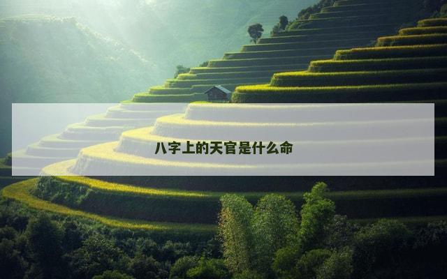 八字上的天官是什么命