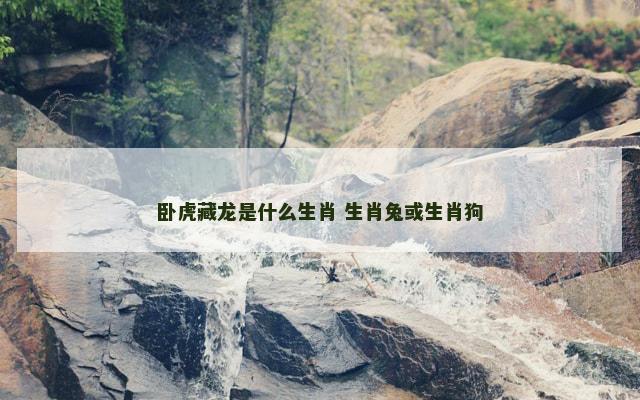 卧虎藏龙是什么生肖 生肖兔或生肖狗