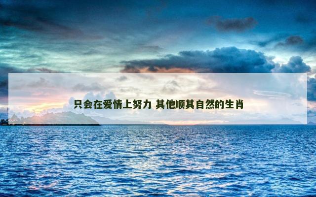 只会在爱情上努力 其他顺其自然的生肖
