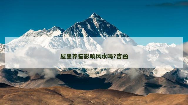 屋里养猫影响风水吗?吉凶