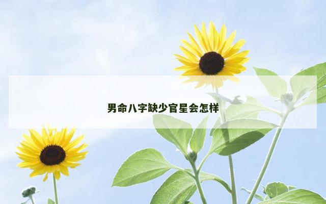 男命八字缺少官星会怎样