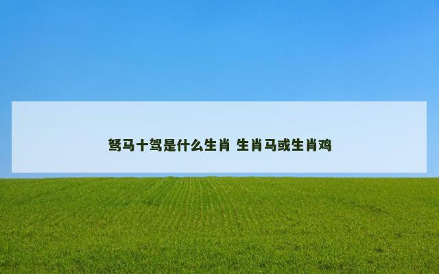 驽马十驾是什么生肖 生肖马或生肖鸡