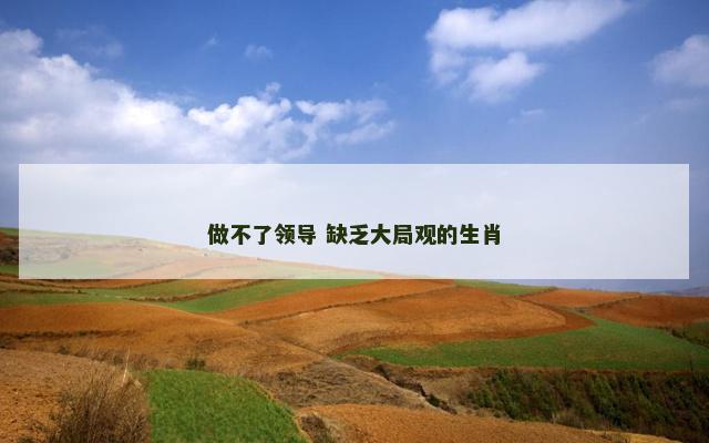 做不了领导 缺乏大局观的生肖