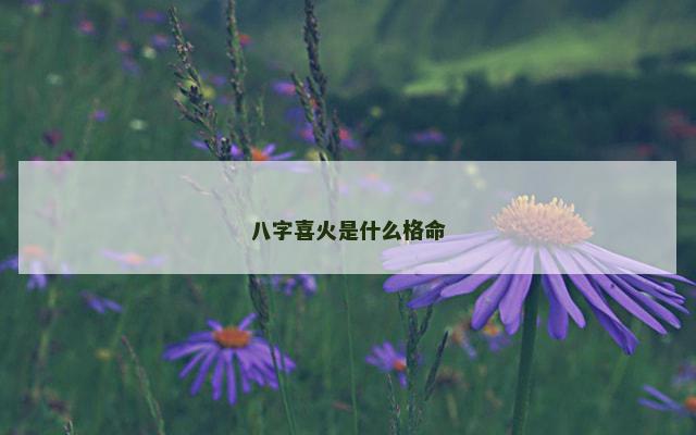 八字喜火是什么格命