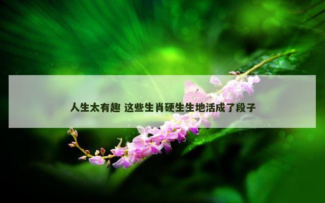 人生太有趣 这些生肖硬生生地活成了段子