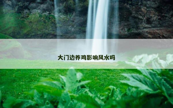 大门边养鸡影响风水吗