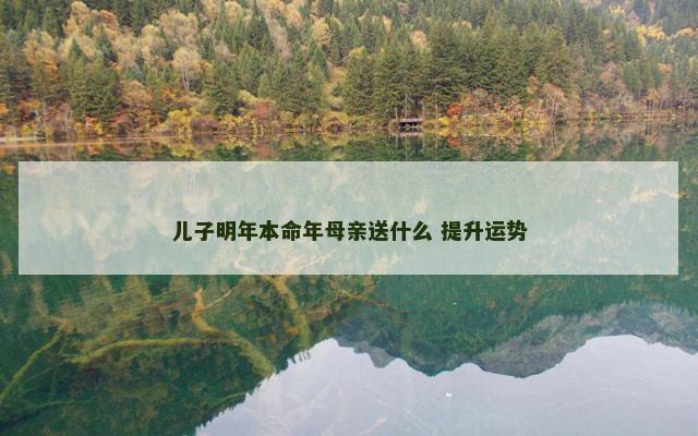 儿子明年本命年母亲送什么 提升运势