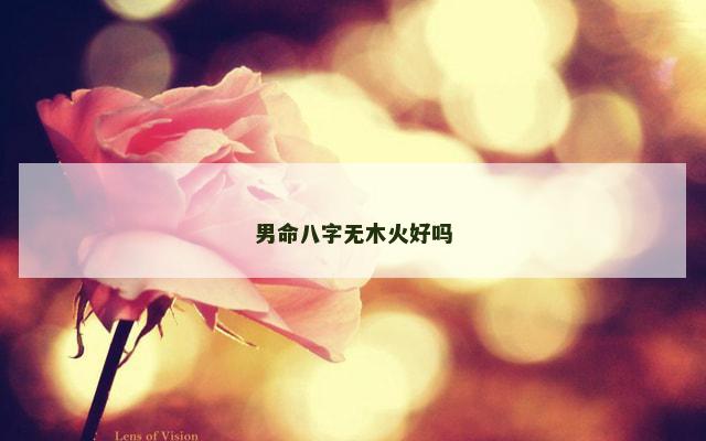 男命八字无木火好吗