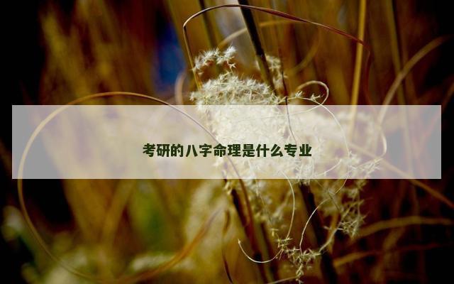 考研的八字命理是什么专业