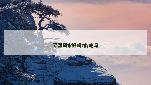芹菜风水好吗?能吃吗