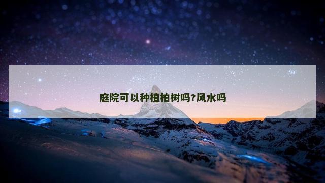 庭院可以种植柏树吗?风水吗