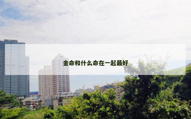 金命和什么命在一起最好
