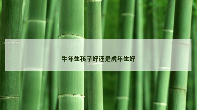 牛年生孩子好还是虎年生好