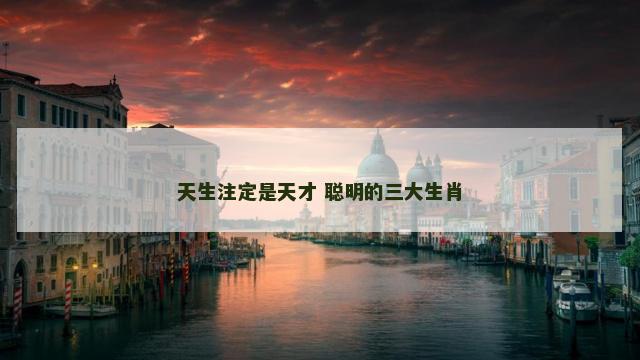 天生注定是天才 聪明的三大生肖