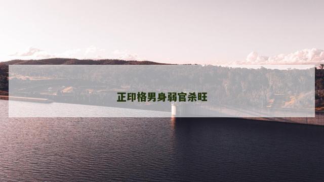 正印格男身弱官杀旺