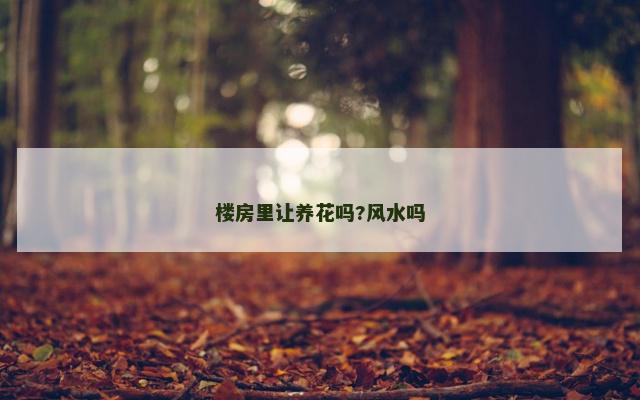 楼房里让养花吗?风水吗
