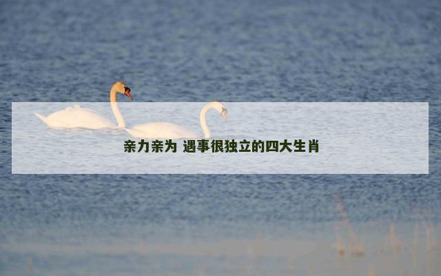 亲力亲为 遇事很独立的四大生肖