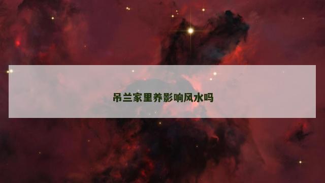 吊兰家里养影响风水吗
