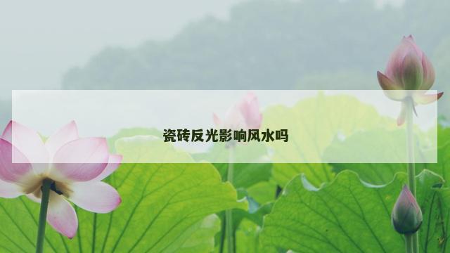 瓷砖反光影响风水吗