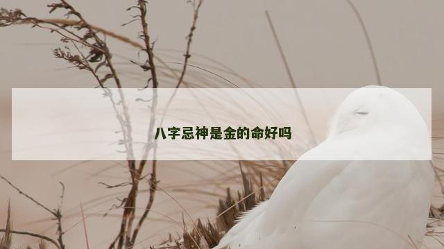 八字忌神是金的命好吗
