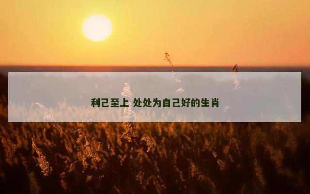 利己至上 处处为自己好的生肖