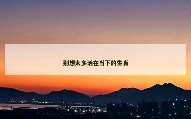 别想太多活在当下的生肖