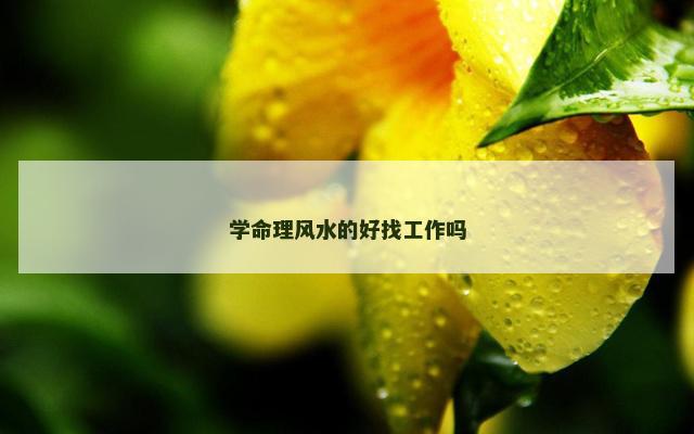 学命理风水的好找工作吗