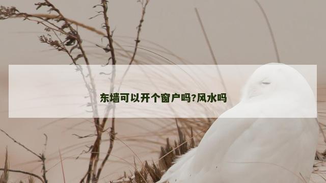 东墙可以开个窗户吗?风水吗