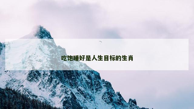 吃饱睡好是人生目标的生肖